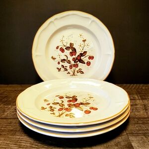 Vintage Stoneware Strawberry Botanical Dinner Plate Set X4